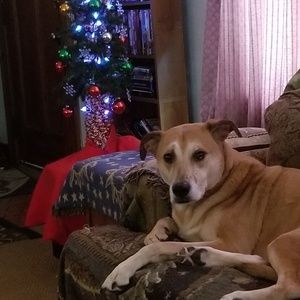 Meet your Posher, Paul